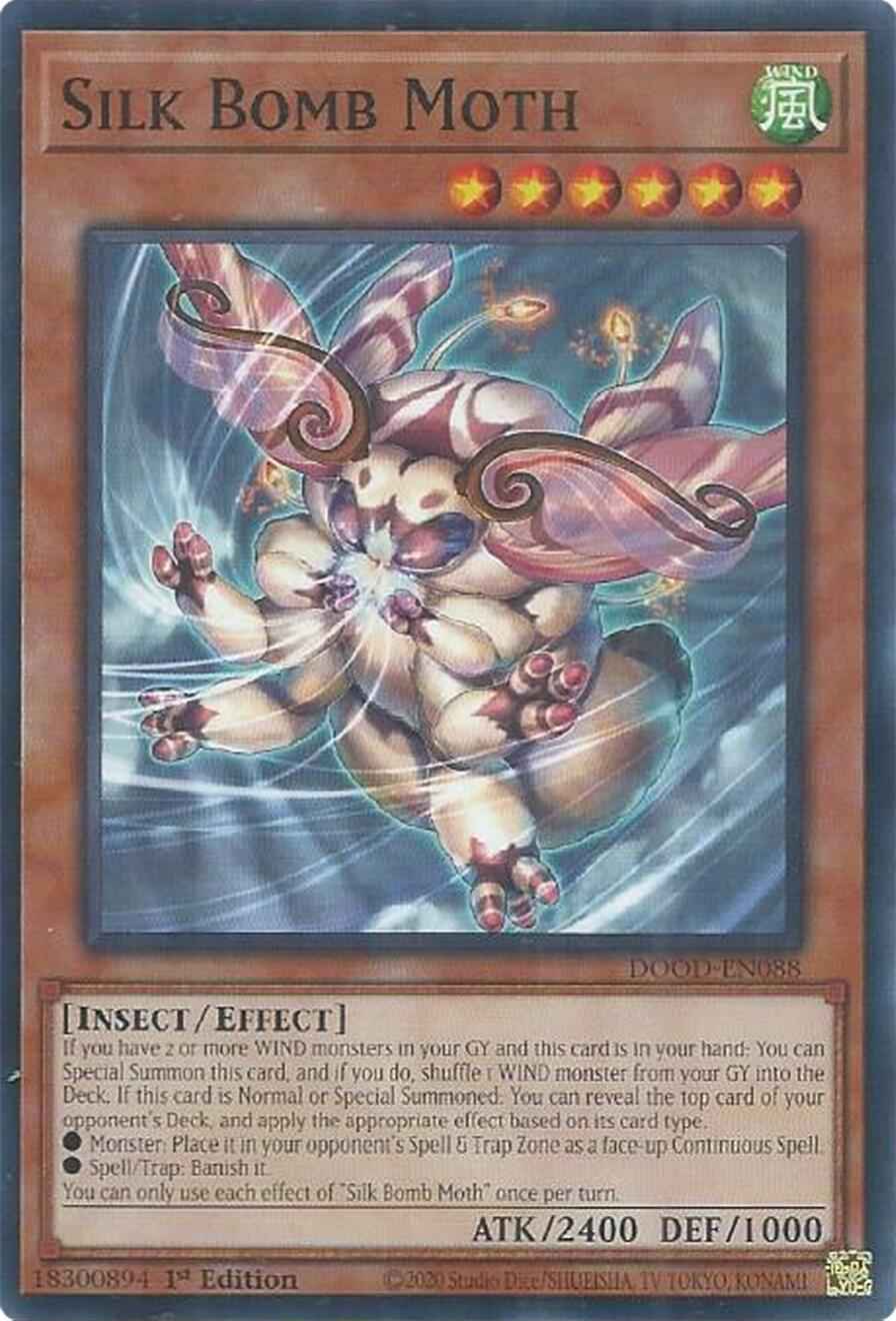 Silk Bomb Moth [DOOD - DOOD-EN088]